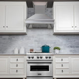 ZLINE 30" Designer Series Stainless Wall Mount Range Hood, 8656S-30