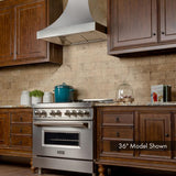 ZLINE 30" Designer Snow Stainless Finish Wall Range Hood, 8632S-30