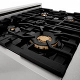 ZLINE 30" Dual Fuel Range, DuraSnow, Stainless, Brass Burners, RAS-SN-BR-30