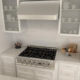 ZLINE 30" Under Cabinet Stainless Steel Range Hood 520-30