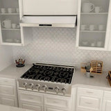 ZLINE 30" Under Cabinet Stainless Steel Range Hood 619-30