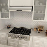 ZLINE 30" Under Cabinet Stainless Steel Range Hood 621-30