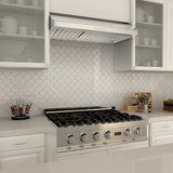 ZLINE 30" Under Cabinet Stainless Steel Range Hood 623-30