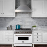 ZLINE 36" Snow Finish Stainless Range Hood with Snow Finish Shell, 8654SN-36