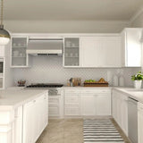 ZLINE 36" UNDER CABINET RANGE HOOD (523-36)