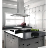 ZLINE 42" Remote Dual Blower Stainless Island Range Hood, GL2i-RD-42