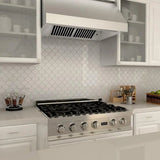 ZLINE 42" UNDER CABINET RANGE HOOD (523-42)