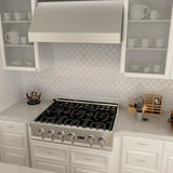 ZLINE 42" UNDER CABINET RANGE HOOD (523-42)