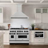 ZLINE 48" Autograph DuraSnow Stainless Steel Hood 8654SNZ-48-MB