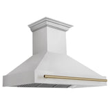 ZLINE 48" Autograph DuraSnow Stainless Steel Range Hood 8654SNZ-48-CB