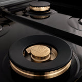 ZLINE 48" Autograph Edition, Rangetop, DuraSnow, Gold Accent, RTSZ-48-G
