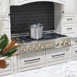ZLINE 48" Autograph Edition, Rangetop, DuraSnow, Gold Accent, RTSZ-48-G