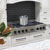 ZLINE 48" Autograph Rangetop, DuraSnow, Gold Accents RTSZ-48-MB