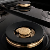 ZLINE 48" Autograph Rangetop, DuraSnow, Gold Accents RTSZ-48-MB