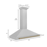 ZLINE 48" Autograph Stainless Wall Range Hood  KB4SNZ-48-CB