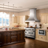 ZLINE 48" Designer Snow Stainless Finish Wall Range Hood, 8632S-48