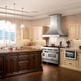 ZLINE 48" Dual Fuel Range, DuraSnow Stainless, Brass Burners, RAS-SN-BR-48