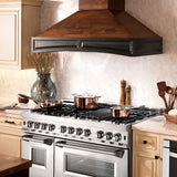 ZLINE 48" Dual Fuel Snow Stainless Range, Snow Stainless Door, RAS-SN-48