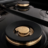 ZLINE 48" Gas Burner/Electric Oven Range Stainless, Brass Burners, RA-BR-48