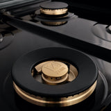 ZLINE 48" Rangetop With 7 Gas Brass Burners, RT-BR-48