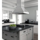 ZLINE 48" Remote Dual Blower Stainless Island Range Hood, 597i-RD-48