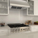 ZLINE 48" Under Cabinet Stainless Steel Range Hood 527-48
