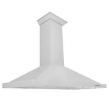 ZLINE Designer Series DuraSnow®  Wall Mount Range Hood 8KBS-48