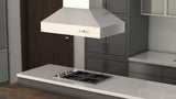 ZLINE Dual Remote Blower Island Mount Range Hood in Stainless Steel 697i-RD-36