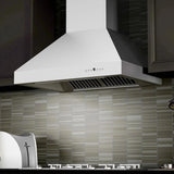ZLINE Ducted Wall Mount Range Hood in Outdoor Approved Stainless Steel 697-304-48